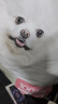 網(wǎng)易嚴(yán)選犬糧 小型犬狗糧幼犬通用鴨肉梨去淚痕泰迪比熊博美 10kg 曬單實(shí)拍圖