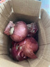 仙果春天新鮮洋蔥紫皮圓蔥大個洋蔥頭農(nóng)家自種蔬菜 洋蔥3斤 3斤 曬單實拍圖