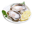 燈塔水母【鮮活】乳山生蠔牡蠣3XL號凈重5斤源頭直發(fā) 曬單實拍圖