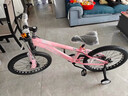 鳳凰（PHOENIX）兒童自行車男女孩6-8-10-12歲中大童小孩雙碟剎山地學(xué)生單車 珍珠粉-98%免安裝-雙碟剎減震-腳 18英寸 曬單實拍圖