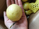 京地達廣西欽蜜9號黃金百香果 凈重3斤單果60-70g 生鮮水果源頭直發(fā)包郵 曬單實拍圖