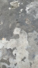 OIDIRE【變頻暴風(fēng)循環(huán)】空氣循環(huán)扇 電風(fēng)扇 風(fēng)扇靜音臥室超靜音落地扇風(fēng)扇臺(tái)地兩用風(fēng)扇輕音宿舍家用電扇 ODI-LSF15 變頻空氣循環(huán)扇-智能款 曬單實(shí)拍圖