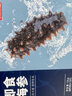 京東京造 大連冷凍即食海參1000g 14-30只 固形物大于70% 遼刺參  曬單實(shí)拍圖