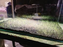 大匠神彩（MAGIC WORLD）魚缸裝飾水草泥免水洗魚缸草缸土草缸造景底砂套餐基肥陶粒不渾 水草泥5斤裝 曬單實拍圖