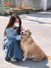 心楠藍(lán)色條紋長袖襯衫女春秋上衣2025新款寬松設(shè)計感復(fù)古撞色外套襯衣 M碼【建議100-115斤】 曬單實(shí)拍圖