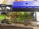 魚缸除藻去苔劑除青苔不傷魚去除綠水褐藻絲藻綠藻絲藻清除劑e 600ml除藻王 曬單實拍圖