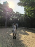 ASK JUNIOR男童褲子2025夏中大童薄款透氣條紋兒童跑步短褲 灰色  150  曬單實拍圖