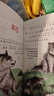 【全套40冊(cè)】中華成語(yǔ)故事注音版 有聲伴讀幼兒園閱讀寶寶啟蒙早教讀物0-1-3-6周歲帶拼音經(jīng)典寓言睡前親子故事大全幼小銜接兒童繪本 一年級(jí)小學(xué)生課外閱讀書籍 體驗(yàn)裝【寶寶睡前成語(yǔ)故事】隨機(jī)2本 曬單實(shí)拍圖