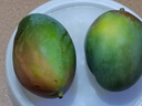 【新鮮上市】正宗攀枝花凱特芒果新鮮水果 帶箱2斤200g+ 曬單實(shí)拍圖