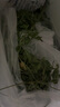 牛寵苜蓿草紫花干草兔子糧草幼兔食用龍貓豚鼠吃的糧食苜宿草兔糧飼料 1000g 曬單實拍圖