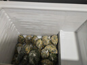 澳柯瑪（AUCMA）323升家用商用臥式阻霜大冷柜 合金內(nèi)膽一級能效冷藏冷凍轉(zhuǎn)換 低噪節(jié)能省電頂開門冰柜 以舊換新 BC/BD-323NE. 323L 曬單實(shí)拍圖