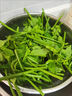 趣果邦順豐包郵新鮮樹(shù)仔菜天綠香海南五指山野菜特色蔬菜私房菜產(chǎn)地直銷(xiāo)2斤裝【泡沫箱冰箱保鮮發(fā)貨】 曬單實(shí)拍圖