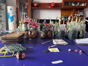 若客（ROKR）積木花束diy手工制作永生玫瑰花玩具拼圖兒童教師節禮物生日女孩春野浮綠【手捧花束】 曬單實(shí)拍圖
