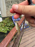 熊火靈汐小物釣魚竿迷你便攜溪流短節(jié)手竿釣鳑鲏魚竿套裝 1.5m46調山野綠小物竿+線組+餌料 曬單實拍圖