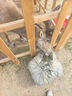 苜蓿干草捆羊駝牛羊馬豬飼養(yǎng)食用草料包動物園馬場養(yǎng)殖廠飼料批發(fā) 10斤裝頭茬新苜蓿 曬單實拍圖