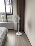 艾美特（AIRMATE）【重磅新品】七葉家用大風(fēng)量落地扇電風(fēng)扇臺(tái)式桌面空氣循環(huán)小風(fēng)扇大角度搖頭節(jié)能電扇 FS30-X97 曬單實(shí)拍圖