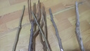 歐悟 桑葚樹苗食用桑樹苗黑桑水果白桑椹盆栽地栽果桑苗南方北方種植 中國(guó)黑桑4年苗（當(dāng)年結(jié)果） 曬單實(shí)拍圖