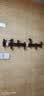 詩亭居實木掛鉤創意掛衣鉤進門口入戶玄關掛衣架壁掛墻上實木衣帽衣服掛 圓柱款-黑胡桃木5鉤【不含鳥】 曬單實拍圖