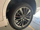 天合（TRW）剎車盤后盤適用于日產(chǎn)樓蘭2.5L/英菲尼迪Q50/Q50L DF4353S 曬單實(shí)拍圖