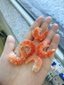 東上御品 山東 大號(hào)海米凈重250g 淡干大蝦仁 海產(chǎn)干貨 煲湯食材-源頭直發(fā) 曬單實(shí)拍圖