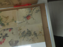 歷代名家冊頁(yè)粹編：花鳥(niǎo)畫(huà)冊頁(yè) 曬單實(shí)拍圖