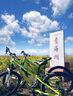 【2-8人純玩小團】青甘大環(huán)線察爾汗鹽湖8天7晚跟團游/敦煌莫高窟/鳴沙山月牙泉/翡翠湖/茶卡鹽湖M 青甘察爾汗8天7晚 曬單實拍圖