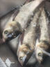 熊爪釣籠水怪籠子浮釣鰱鳙釣鉤套裝釣組魚(yú)鉤伊勢尼爆炸鉤水雷浮球浮標 X02【雙個(gè)裝】 12 曬單實(shí)拍圖