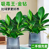 神秘博士（mystey doctor） 酸果酵萃煥顏涂抹面膜 深層清潔平衡水油保濕舒緩敏感肌可用 酸果涂抹面膜120g*1瓶 曬單實拍圖