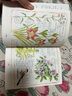 【包郵】小花園365日 手賬水彩手繪 養(yǎng)花觀鳥(niǎo)綠植生活美學(xué) 藝術(shù)繪畫 后浪正版 曬單實(shí)拍圖