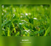 索尼（SONY）ILCE-A6400系列Alpha 6400 APS-C畫幅4K視頻Vlog A6400L+E16-50mm 套裝黑色 官方標(biāo)配 曬單實(shí)拍圖