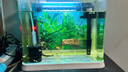 森森（SUNSUN）魚(yú)缸燈led燈照明燈變色LED水族箱造景燈龍魚(yú)燈潛水燈 【5W光之白】28cm長(zhǎng) 適合35-45缸 曬單實(shí)拍圖