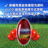 紅帆R番茄紅素軟膠囊中老年純物理抗氧化新疆禮盒裝500mg/粒*60粒*3瓶 曬單實拍圖