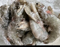 北海灣 蝦 青島大蝦鮮活冷凍基圍蝦 蝦類 海鮮水產(chǎn)生鮮白蝦青蝦海蝦對(duì)蝦 鹽凍大蝦 3.6斤(凈重)  15-17cm【單只凍 無冰衣】 曬單實(shí)拍圖