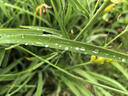 朗威負(fù)重手環(huán)負(fù)重沙袋綁腿手臂負(fù)重手環(huán)手腕隱形綁手重力綁腿沙袋腳環(huán) 高級灰-手腳通用 1.5kg*2 曬單實(shí)拍圖