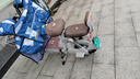 臺鈴電動(dòng)車(chē)【門(mén)店自提】獵豹電動(dòng)自行車(chē)新國標可上牌電瓶車(chē)長(cháng)續航成人代步 請到店選購顏色 曬單實(shí)拍圖