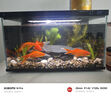米家（MIJIA）智能生態(tài)魚缸還原自然生態(tài) 智能魚缸+濾芯套裝 曬單實拍圖