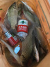 劉志強魚餌全能果浪復合果味魚餌高溫開口野釣鯽魚鯉魚鳊魚通殺餌料 全能果浪260g*1包 曬單實拍圖