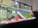 貝森原生極窄側(cè)溢流溪流缸底濾魚缸大缸家用客廳超白玻璃魚缸包安裝 【筒燈款】150*50*40cm+滿配濾材+筒燈 曬單實(shí)拍圖