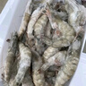鮮馳 蝦 青島大蝦 基圍蝦鮮活青蝦白蝦海蝦對蝦冰蝦凍蝦生鮮 蝦類(lèi)海鮮 鹽凍大蝦 3.6斤(凈重)  12-14cm【單只凍 無(wú)冰衣】 曬單實(shí)拍圖