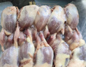 崠鮮鵪鶉生鮮約6斤 共20只 新鮮冷凍鵪鶉肉母鵪鶉 燒烤生鮮 源頭直發(fā) 曬單實(shí)拍圖