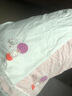 紅豆居家（Hodohome）兒童內(nèi)褲女童莫代爾3A抑菌襠安全褲防走光女孩打底褲2條裝012 160 曬單實(shí)拍圖