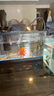 闊庭（KUOTING）魚缸水族箱生態(tài)桌面魚缸新款懶人魚缸生態(tài)造景過濾制氧一體機黑色 曬單實拍圖