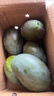 京鮮生 攀枝花凱特芒果 凈重8.5斤 帶箱9斤 單果400g+ 生鮮水果源頭直發(fā) 曬單實(shí)拍圖