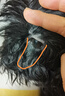 耐吉斯凍干生骨肉犬糧6kg成犬幼犬狗糧鴨肉梨【新舊版隨機發(fā)貨】 曬單實拍圖