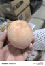 京鮮生 水蜜桃 凈重5斤 單果200g起 生鮮水果 曬單實拍圖