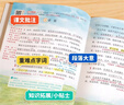 2025斗半匠課堂筆記六年級上冊語文人教版黃岡學(xué)霸筆記教材全解小學(xué)六年級同步教材課前預(yù)習(xí)課后復(fù)習(xí)輔導(dǎo)書 曬單實(shí)拍圖