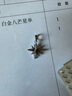 明牌珠寶七夕禮物 鉑金Pt950白金八芒星吊墜送禮女BFC0095 鉑金吊墜 約0.97克 曬單實(shí)拍圖