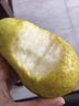 青尊園煙臺太婆梨 葫蘆梨大頭梨子當季茄梨水果禮盒軟梨新鮮啤梨 2斤 嘗鮮裝 曬單實(shí)拍圖