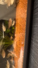 瘋狂水草（FKSC）櫻桃紅雨林砂5斤裝1.0-2.0mm魚缸造景底砂 魚缸底部沙石 魚缸底沙 曬單實拍圖