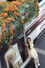SNYDER WEAR韓系穿搭黃色小飛袖方領(lǐng)碎花連衣裙子女夏季2025新款無(wú)袖吊帶長(zhǎng)裙 【黃色】 S 40/45kg 曬單實(shí)拍圖